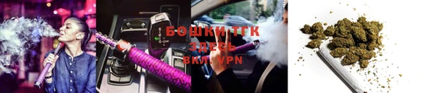 прущие грибы Алексеевка